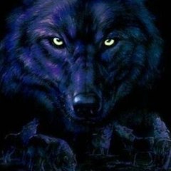 wolf0178