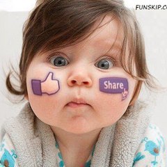 Daily Fun Videos