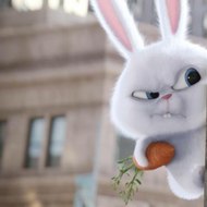 intelligence everywhere