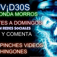 N3T0V¡D30S