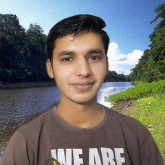 Hamza Ameer