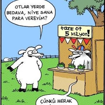 İlginç Komik Şaşırtıcı Bilgilendirici Videolar