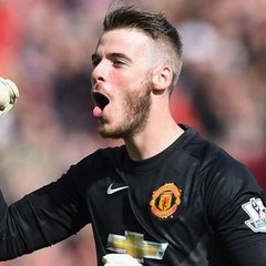 david de gea fan