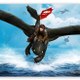 How To Train Your Dragon