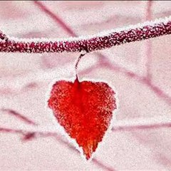 winter in my heart