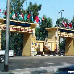 محمود شرف