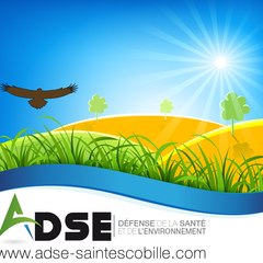 Association ADSE