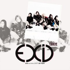 EXID Türkiye