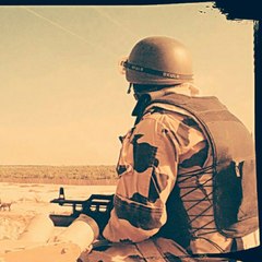 The Great Egyptian Army 2015