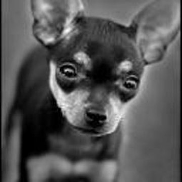 Cammie Mayberry