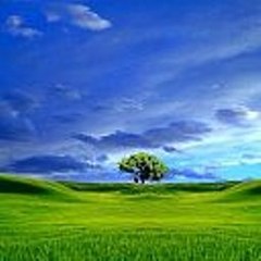 Leonor Wall