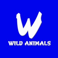 Wild animals