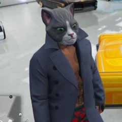 CoolCat