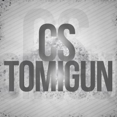 Tomigun1001