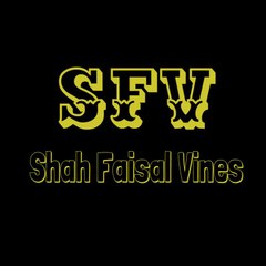 shah faisal vines