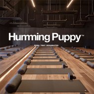 Humming Puppy