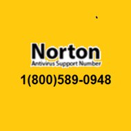 Norton Antivirus Support Phone Number