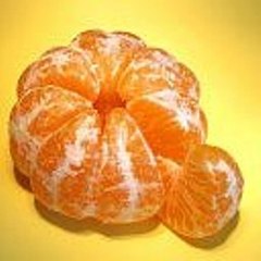 Particia Magana