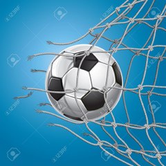THE BEST GOAL