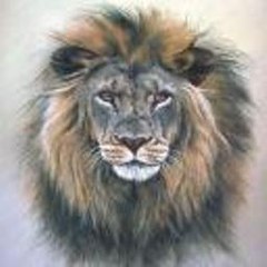 Stephon Rufus