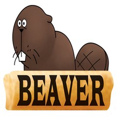 sawdust machine (BEAVER KOREA)