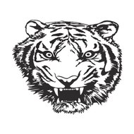 Tiger Shadow Muay Thai