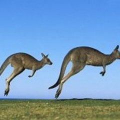 Tripwirecloudy