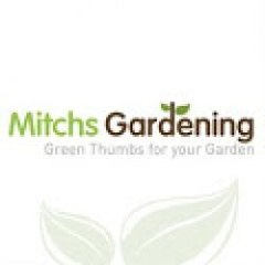 Mitchell