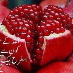 DailyMaza.com