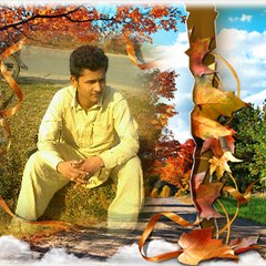 syed alimurtaza shah