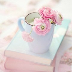 ʝօɖɦǟ ǟӄɮǟʀ