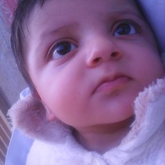 Syed Honey