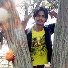 pyaray saim