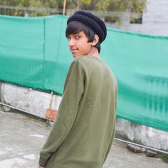 Shahzadmughal265