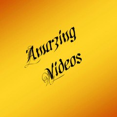 Amazing Videos