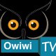 owiwitv