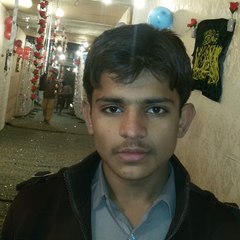 Usman saggU