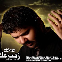Zubair Ali Ansari