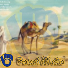 Baloch Media
