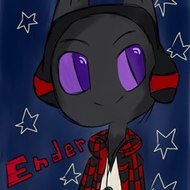 TheEnderwolf55