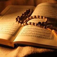 Noor_ALeman