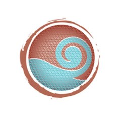 Network Chiropractic Wellness Center