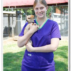 Charlotte Veterinary Services