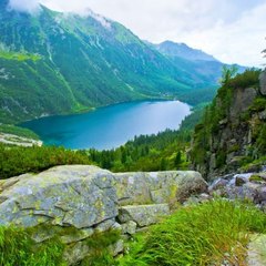 Nature and Entertainment