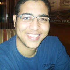 Mahmoud Essam Hameed