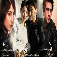 Facebook Page Maral y Sarp