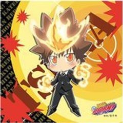 Sawada Tsuna