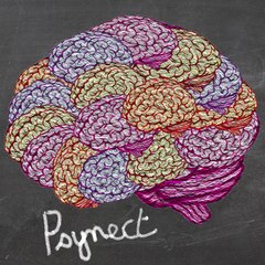Psynect