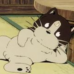 mikazubrowka