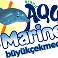 aquamarine